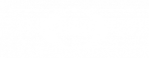 eisai